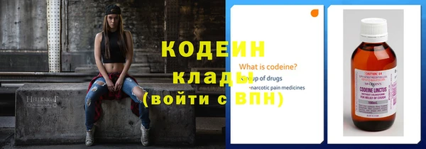 метадон Алексин