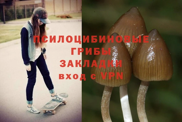 гидропоника Алексеевка