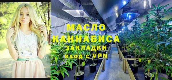 тгк Абинск
