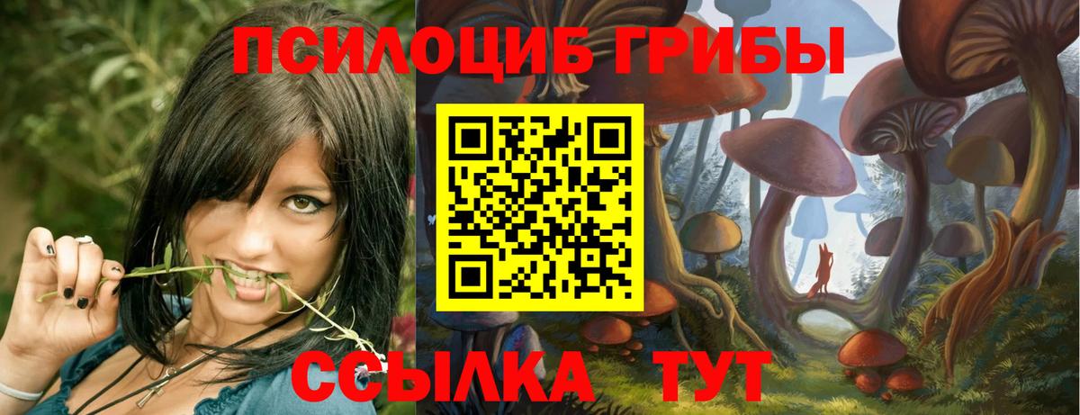 Галлюциногенные грибы ЛСД Каменск-Уральский