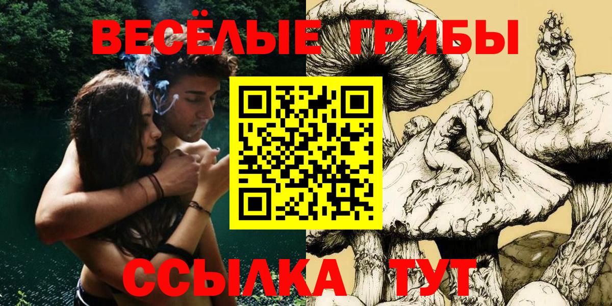 купить   Вход с VPN  Каменск-Уральский  Псилоцибиновые грибы Psilocybe 